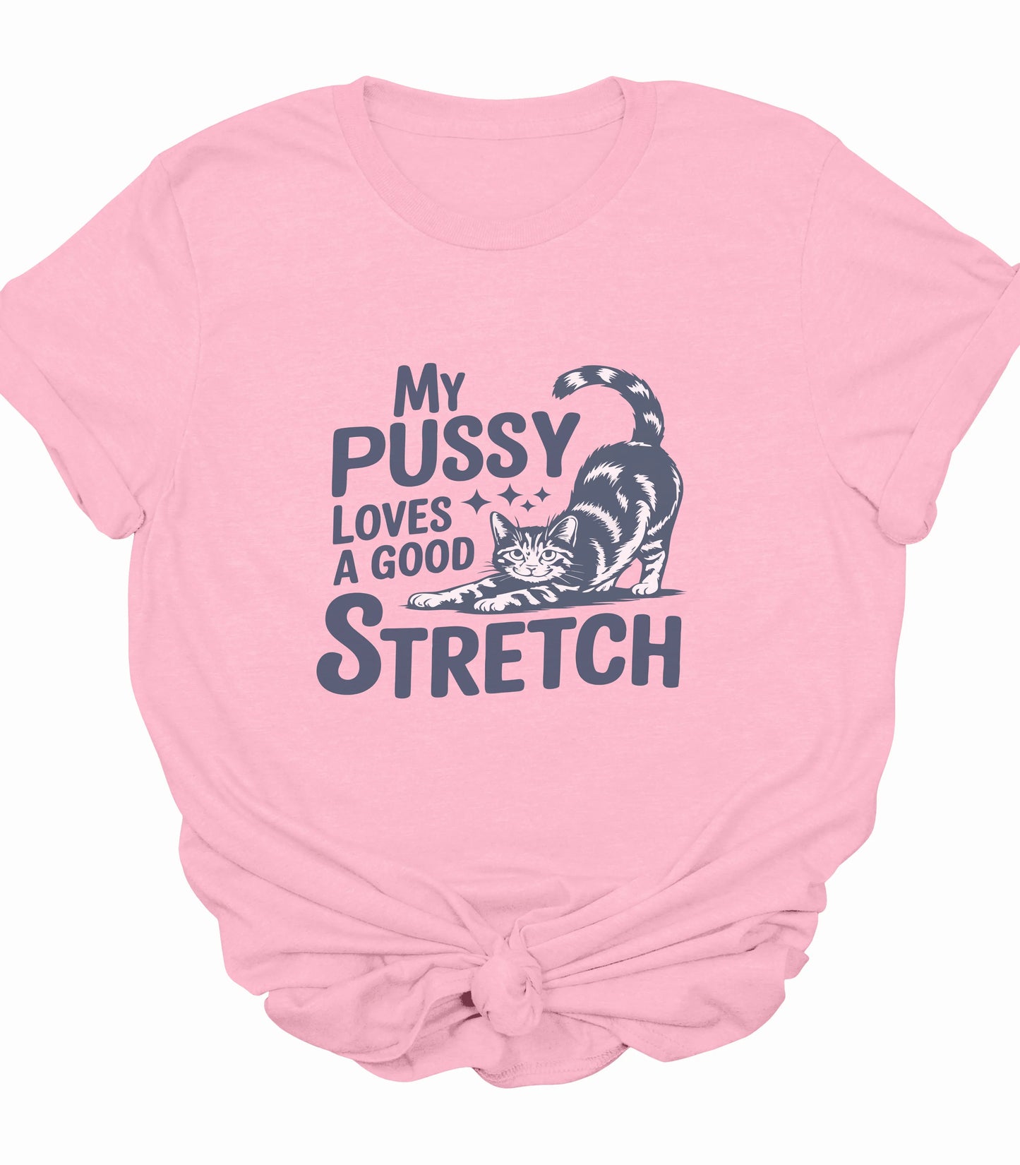 My Pussy Loves A Good Stretch Cat T-Shirt