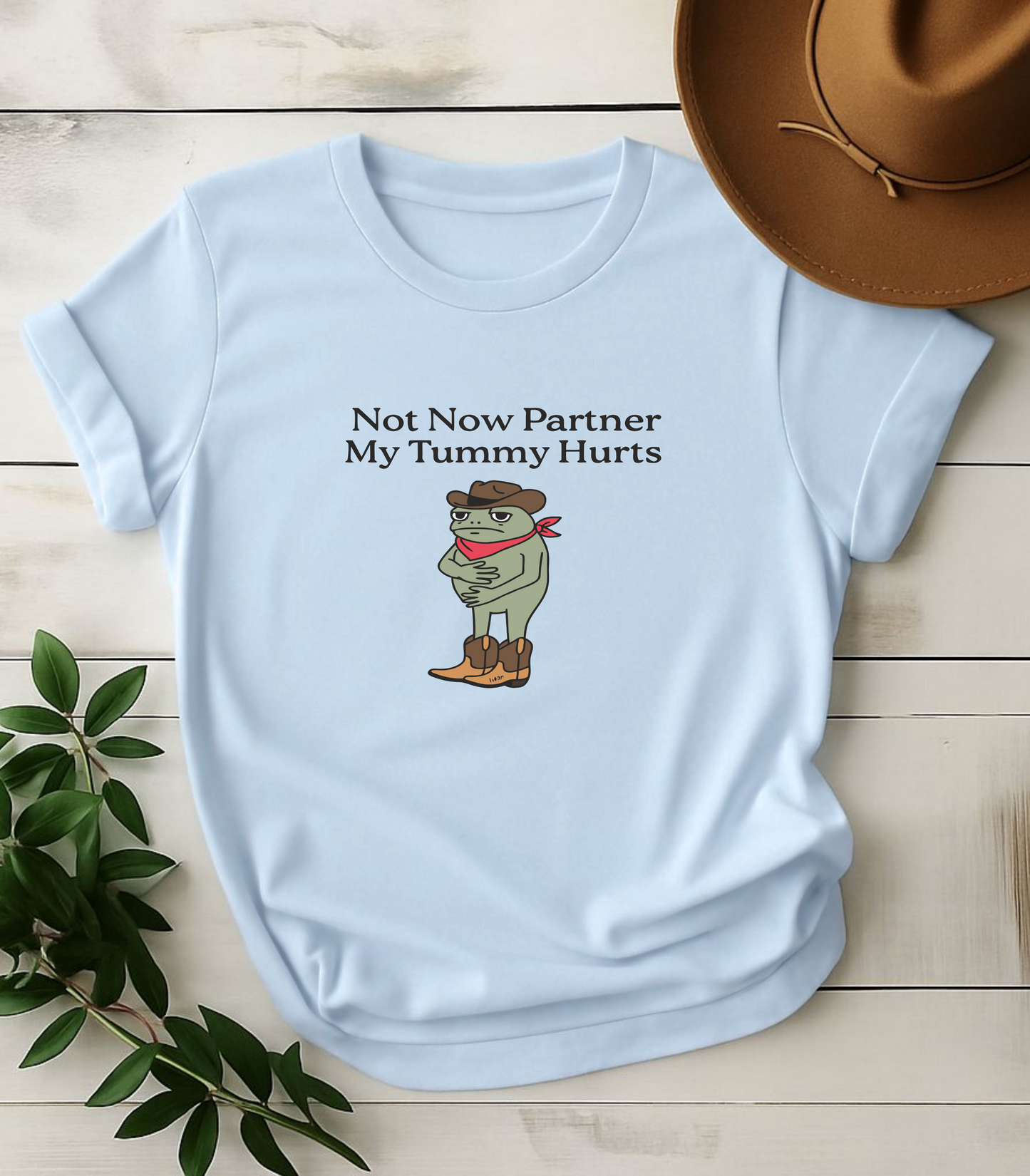 Not Now My Tummy Hurts Funny Frog T-Shirt