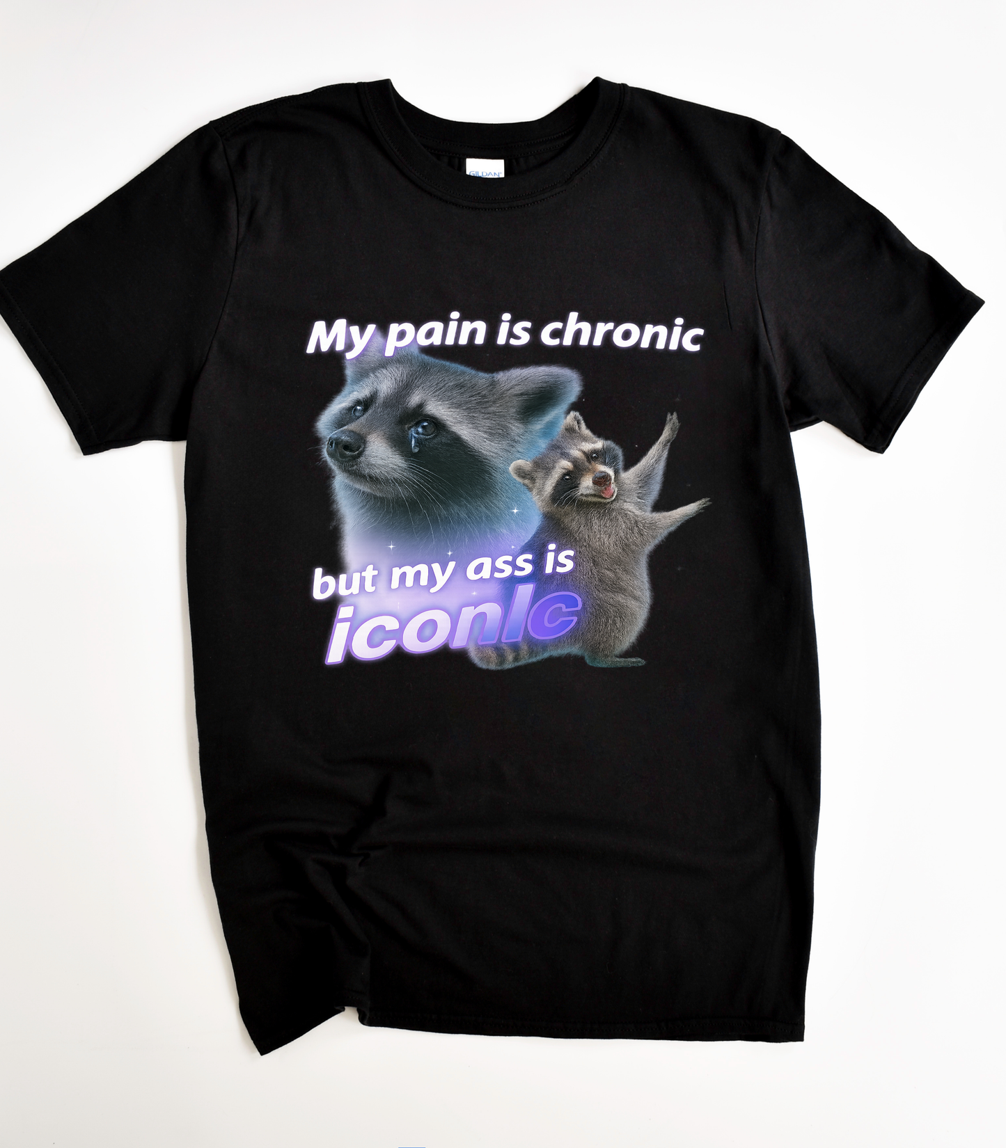 My Pain Is Chronic But My Ass Is Iconic T-Shirt