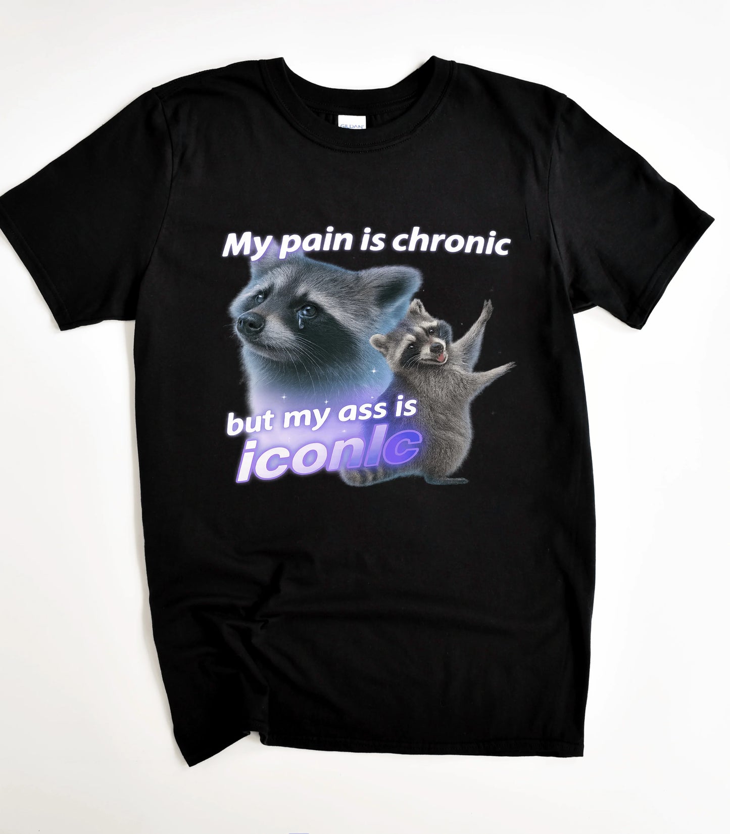 Funny raccoon graphic tee with 'My pain is chronic but my ass is iconic' text