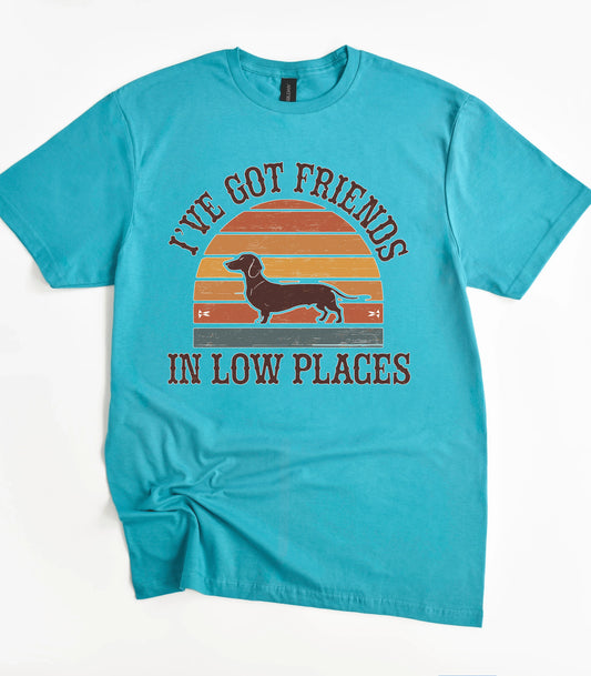 I've Got Friends In Low Places T-Shirt