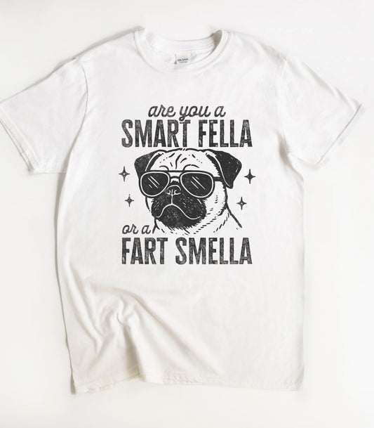 Dog Are You A Smart Fella or a Fart Smella T-Shirt