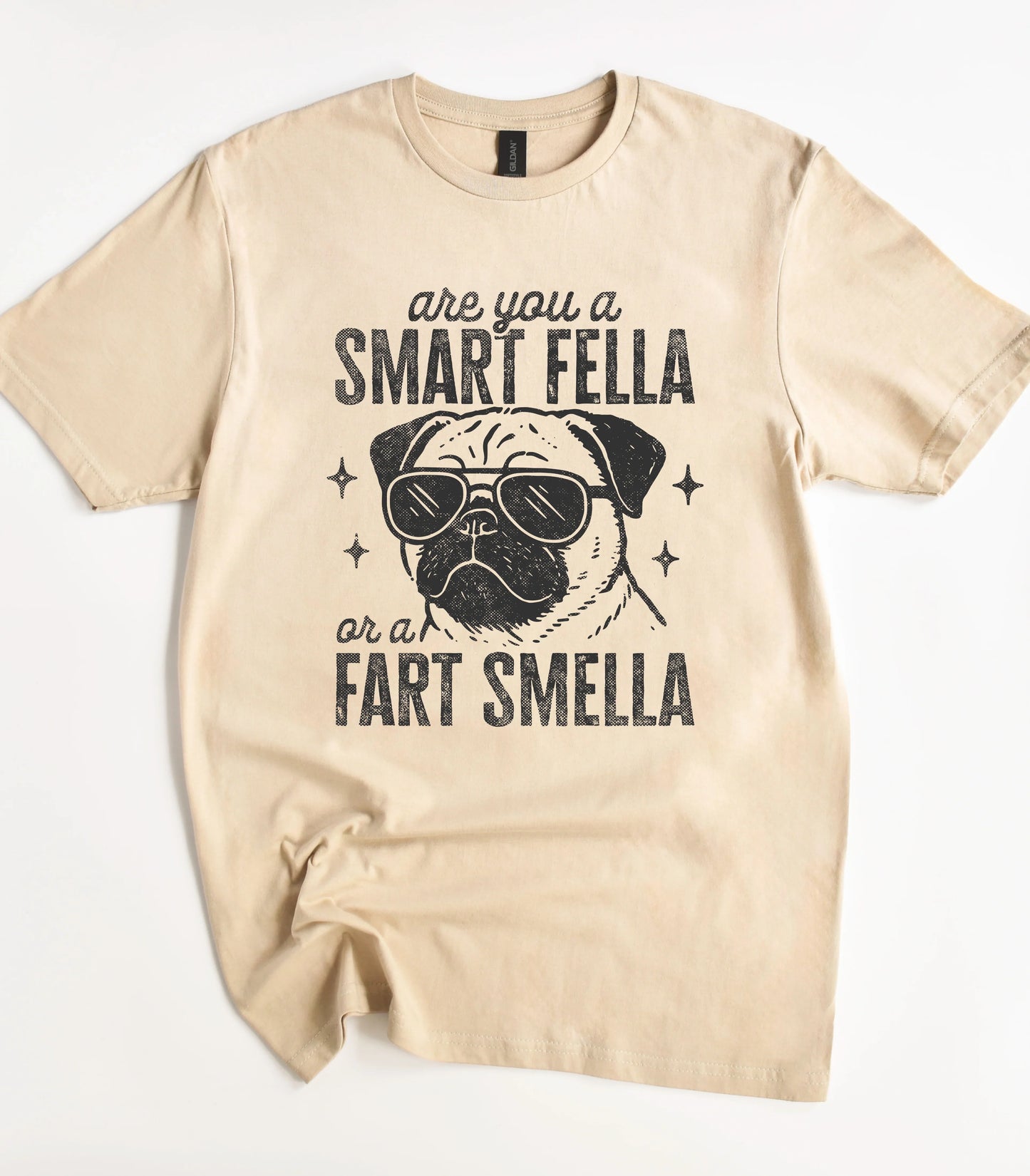 Funny pug graphic tee with sunglasses and text design
