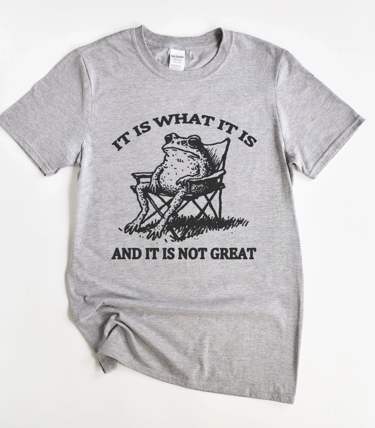 Funny frog graphic tee with text 'It is what it is and it is not great'