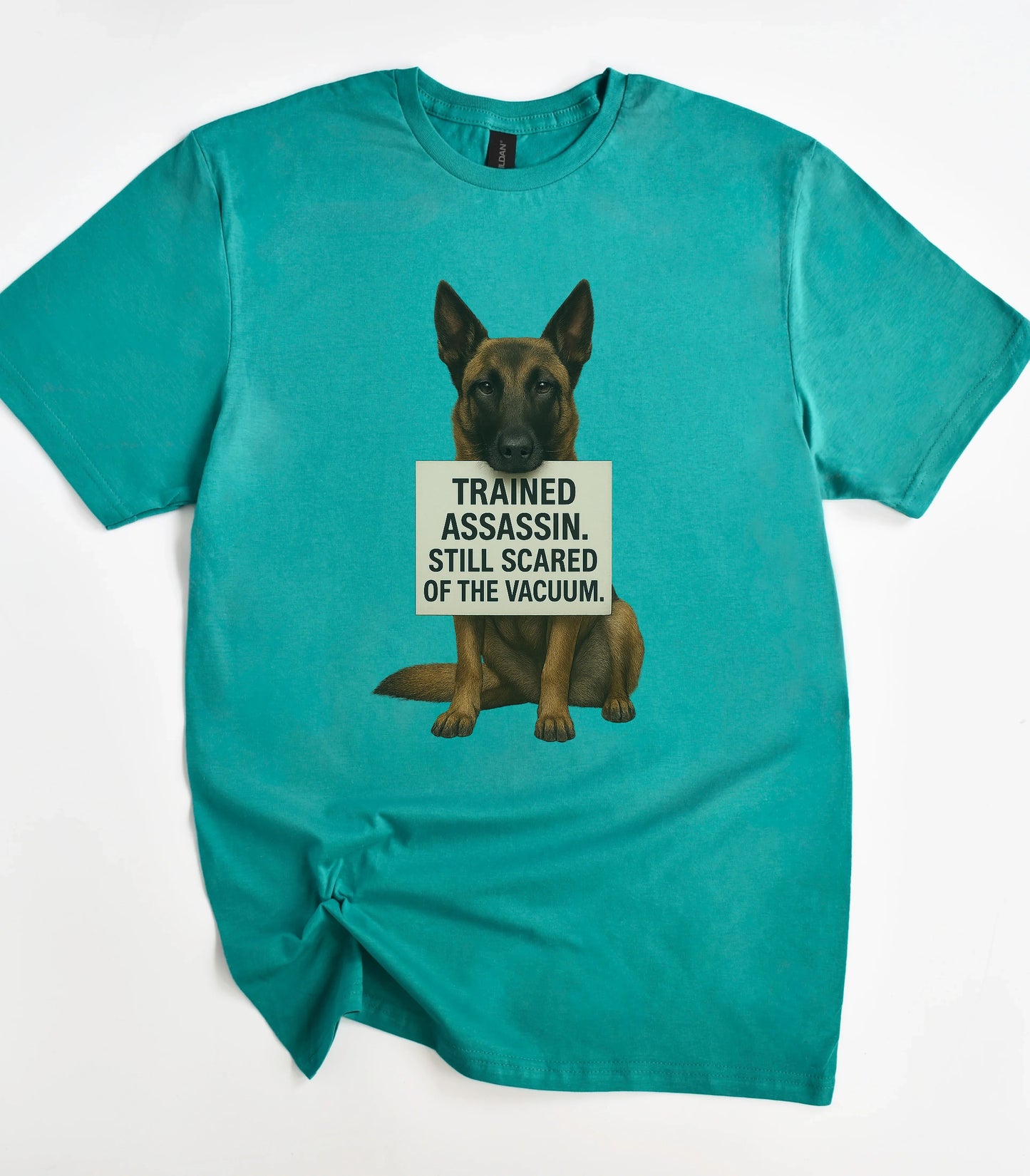 Funny dog graphic tee with 'Trained Assassin' text on teal shirt