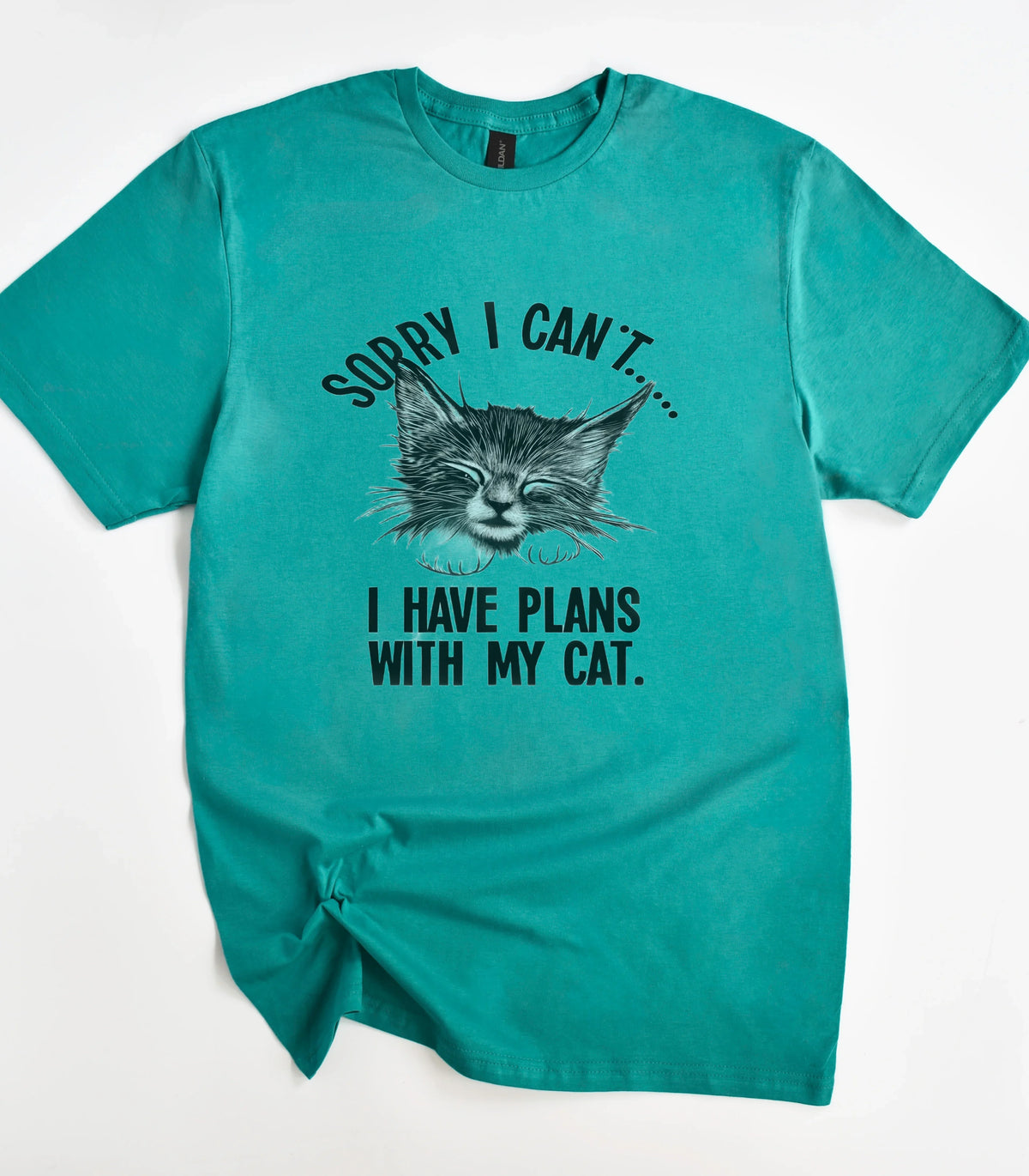 Funny cat graphic tee with 'Sorry I can't... I have plans with my cat' text on teal shirt