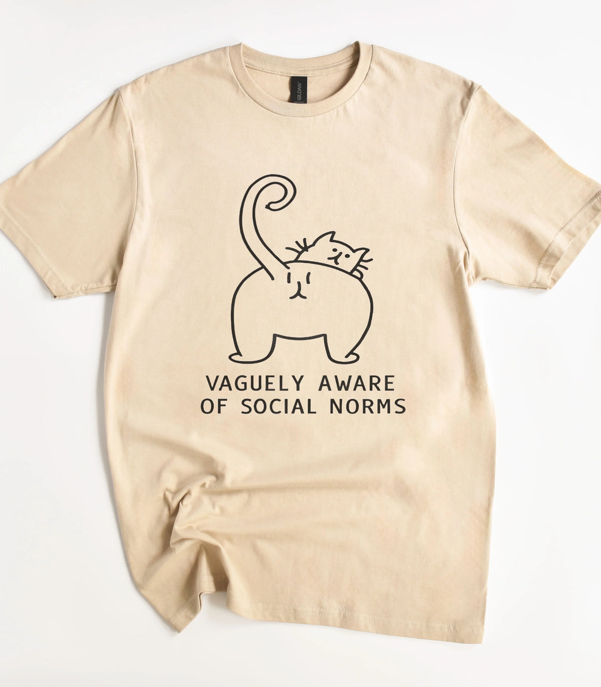 Funny cat graphic tee with 'Vaguely Aware of Social Norms' text on beige shirt