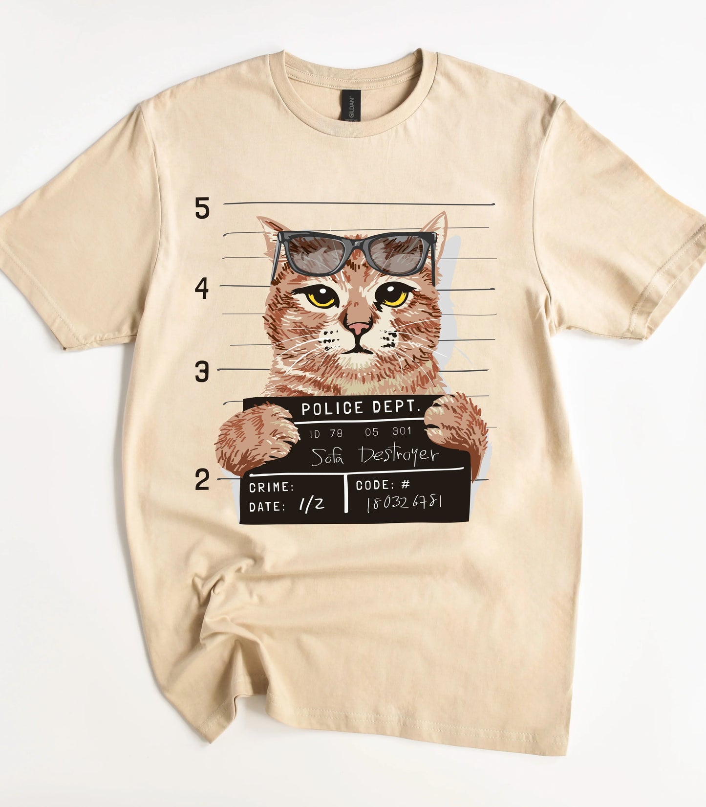 Funny Sofa Destroyer Cat T-Shirt