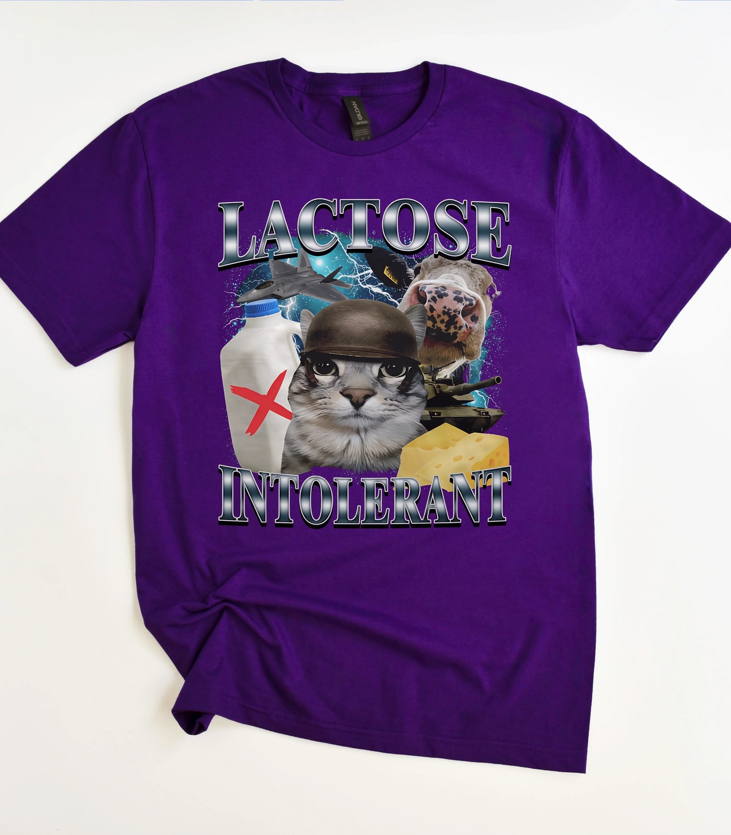 Lactose Intolerant cat graphic tee on purple shirt