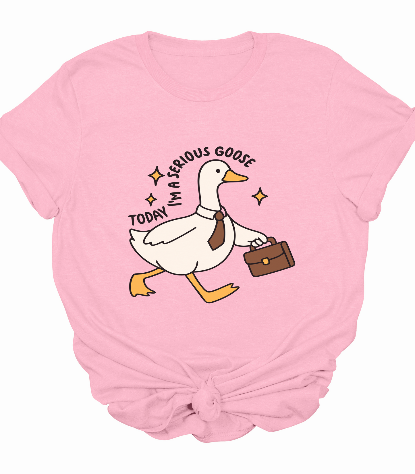 Today I'm A Serious Goose Shirt