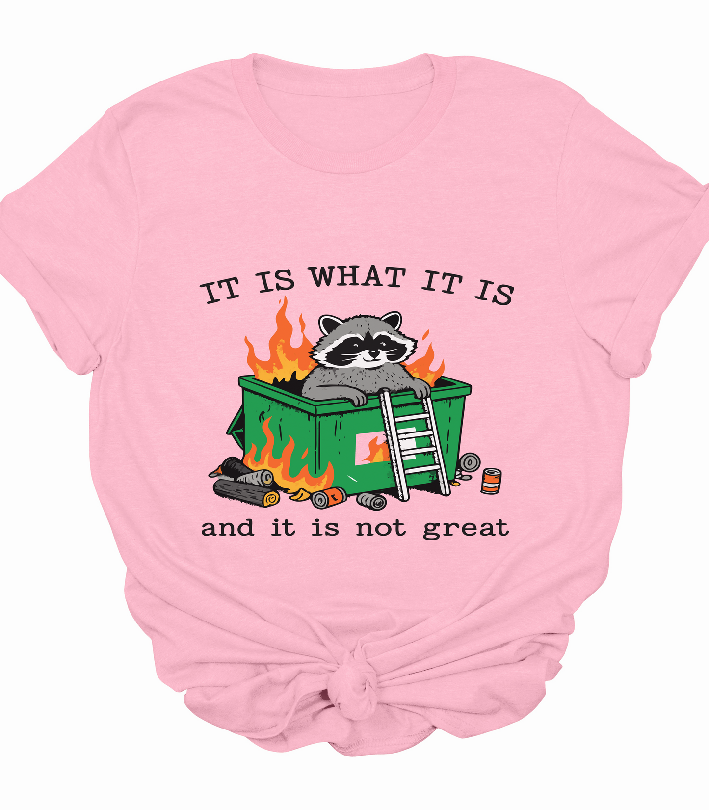 It Is What It Is And It Is Not Great Raccoon T-Shirt