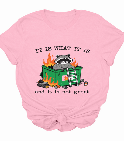 It Is What It Is And It Is Not Great Raccoon T-Shirt