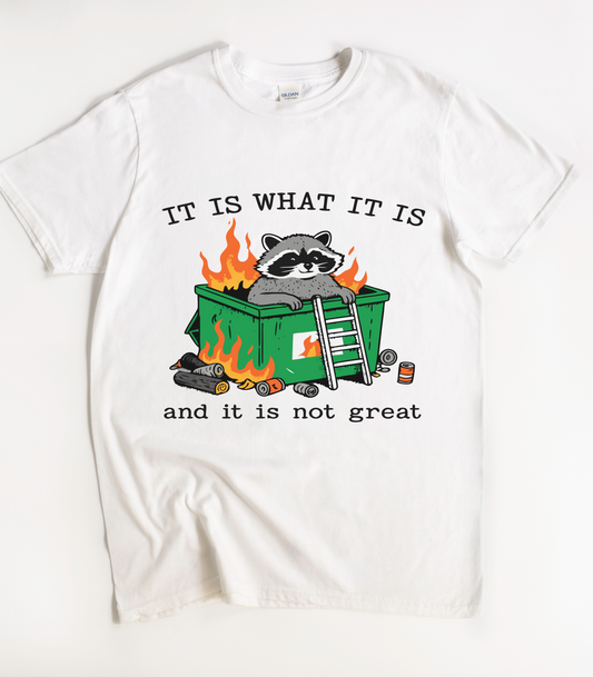 It Is What It Is And It Is Not Great Raccoon T-Shirt