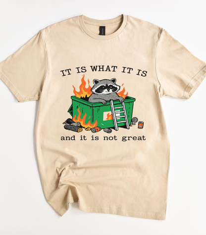 It Is What It Is And It Is Not Great Raccoon T-Shirt