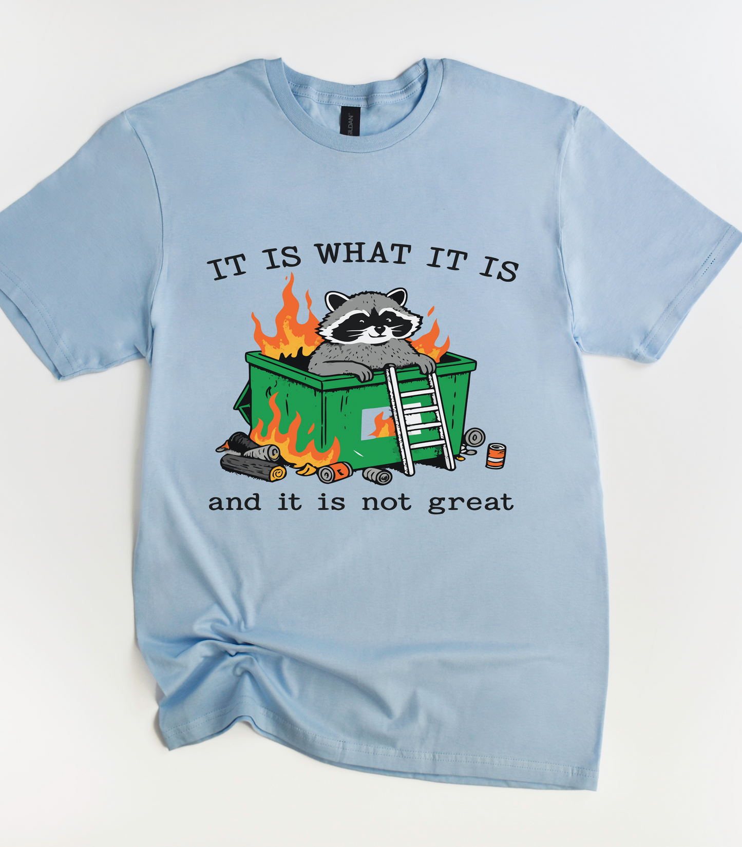 It Is What It Is And It Is Not Great Raccoon T-Shirt
