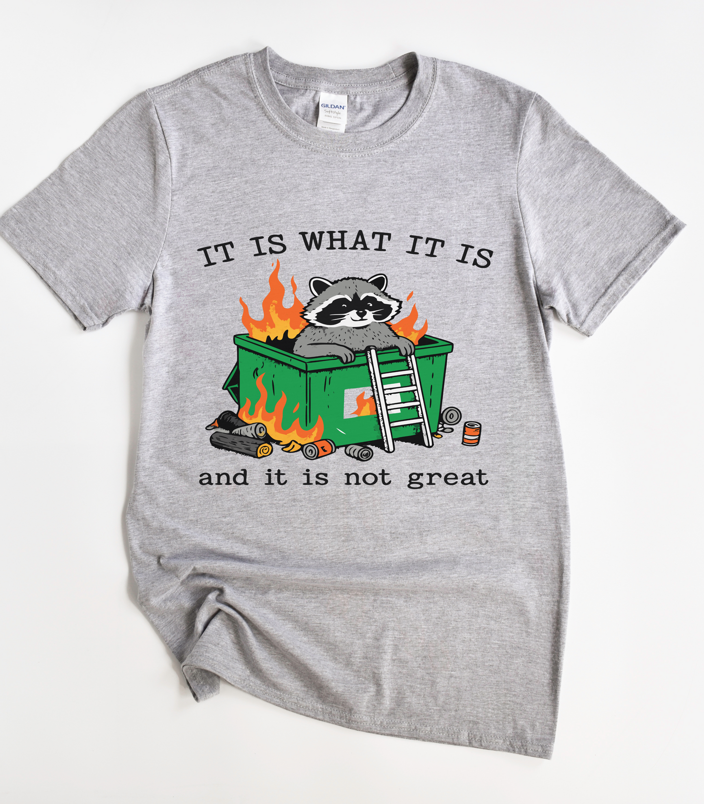 It Is What It Is And It Is Not Great Raccoon T-Shirt