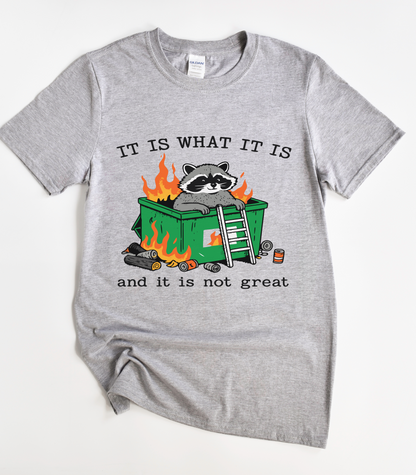 It Is What It Is And It Is Not Great Raccoon T-Shirt