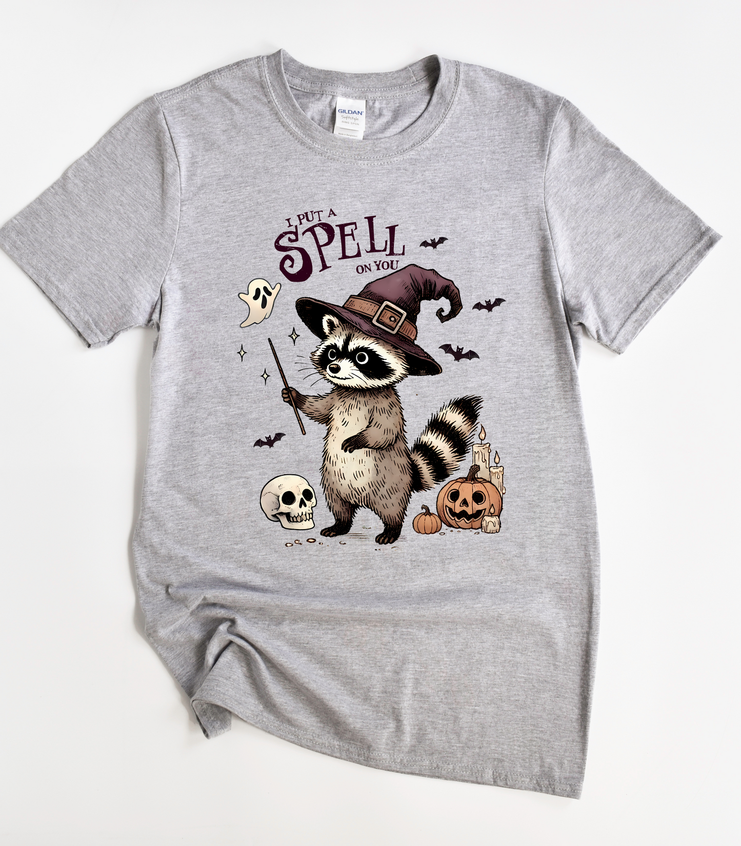 I Put A Spell On You Raccoon Halloween T-Shirt