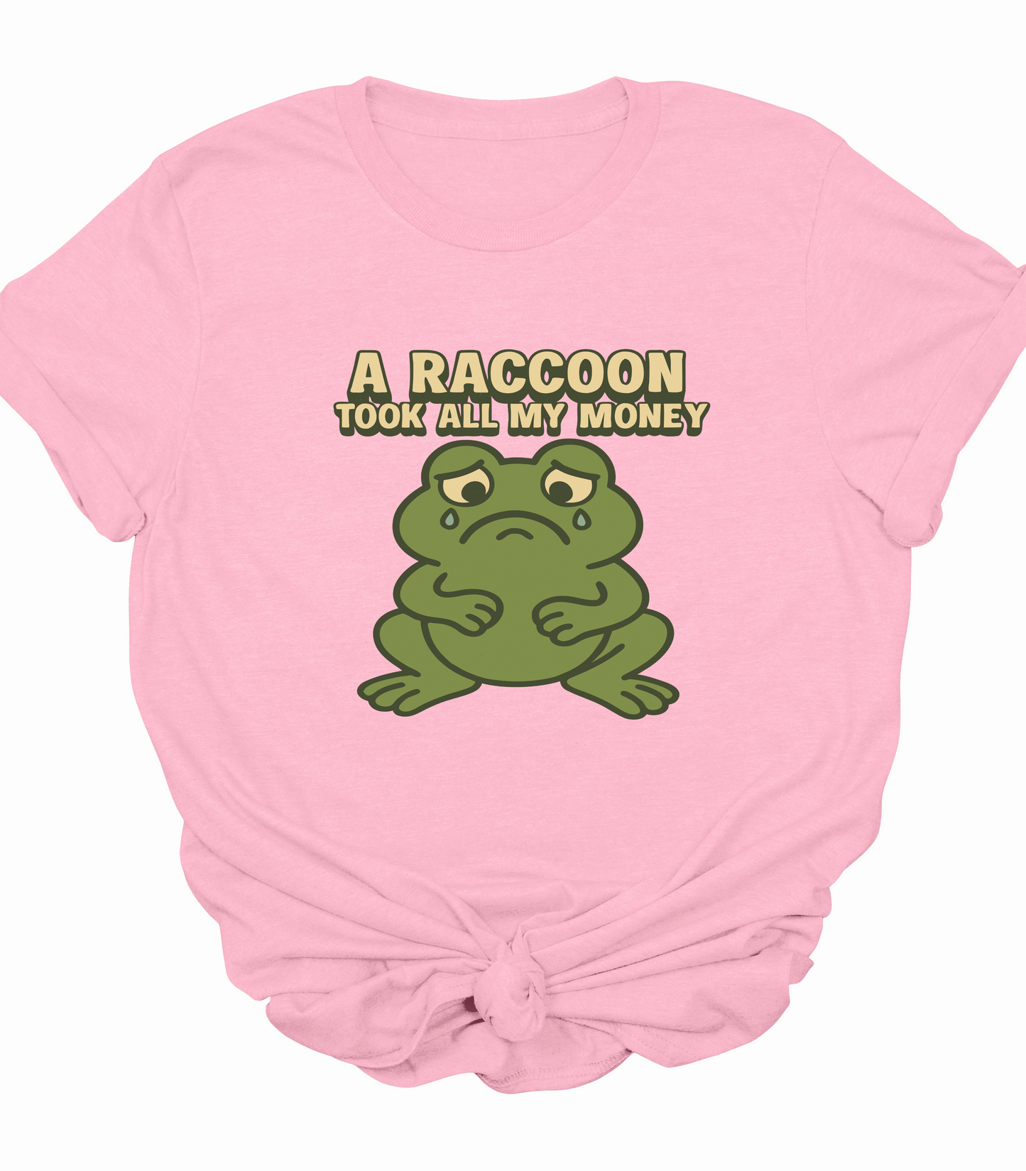 A Raccoon Took All My Money Frog T-Shirt
