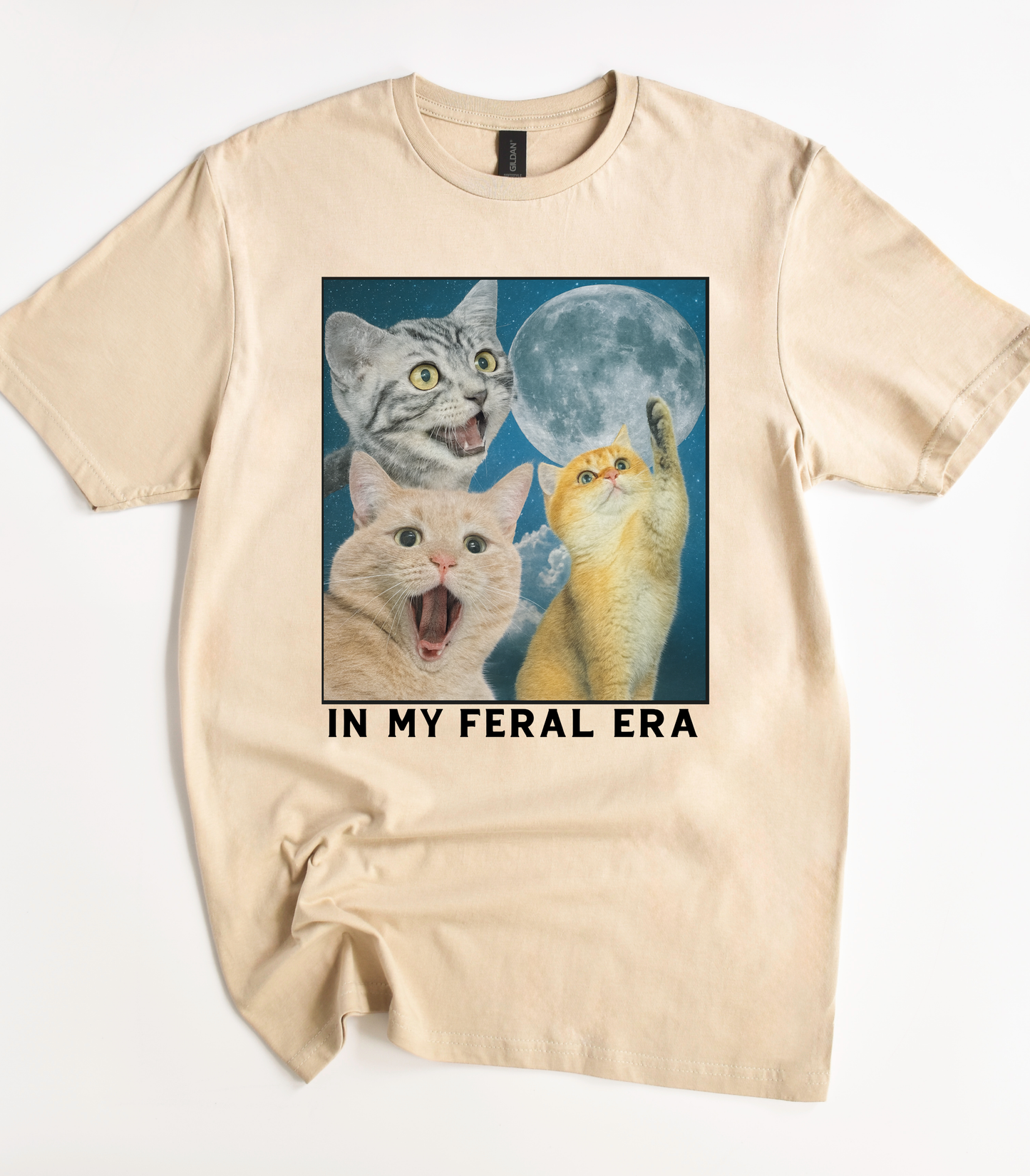 In My Feral Era Three Cats Moon Graphic T-Shirt