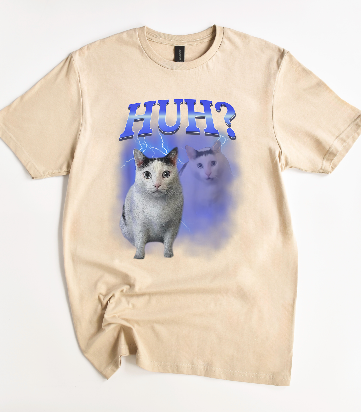 Huh Silly Cat Meme T-Shirt