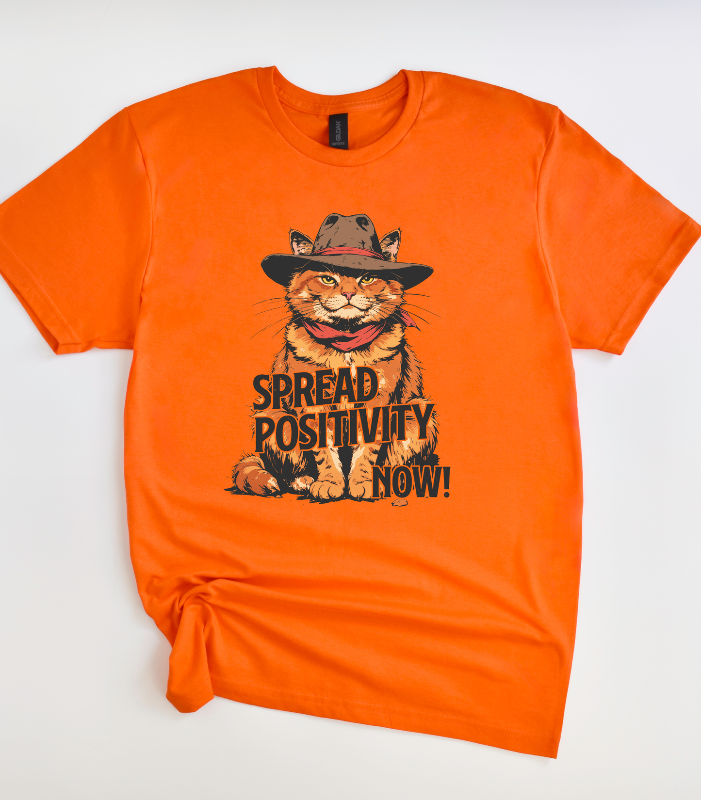 Grumpy Cat Spread Positivity T-Shirt