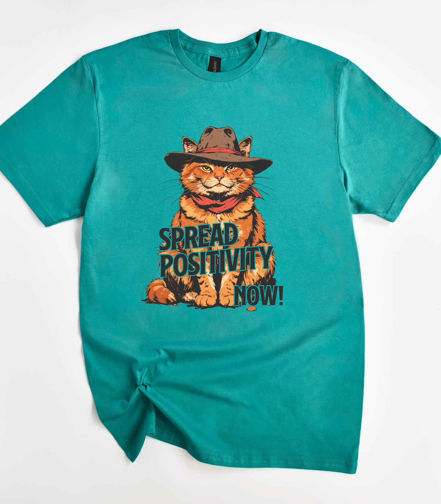 Grumpy Cat Spread Positivity T-Shirt