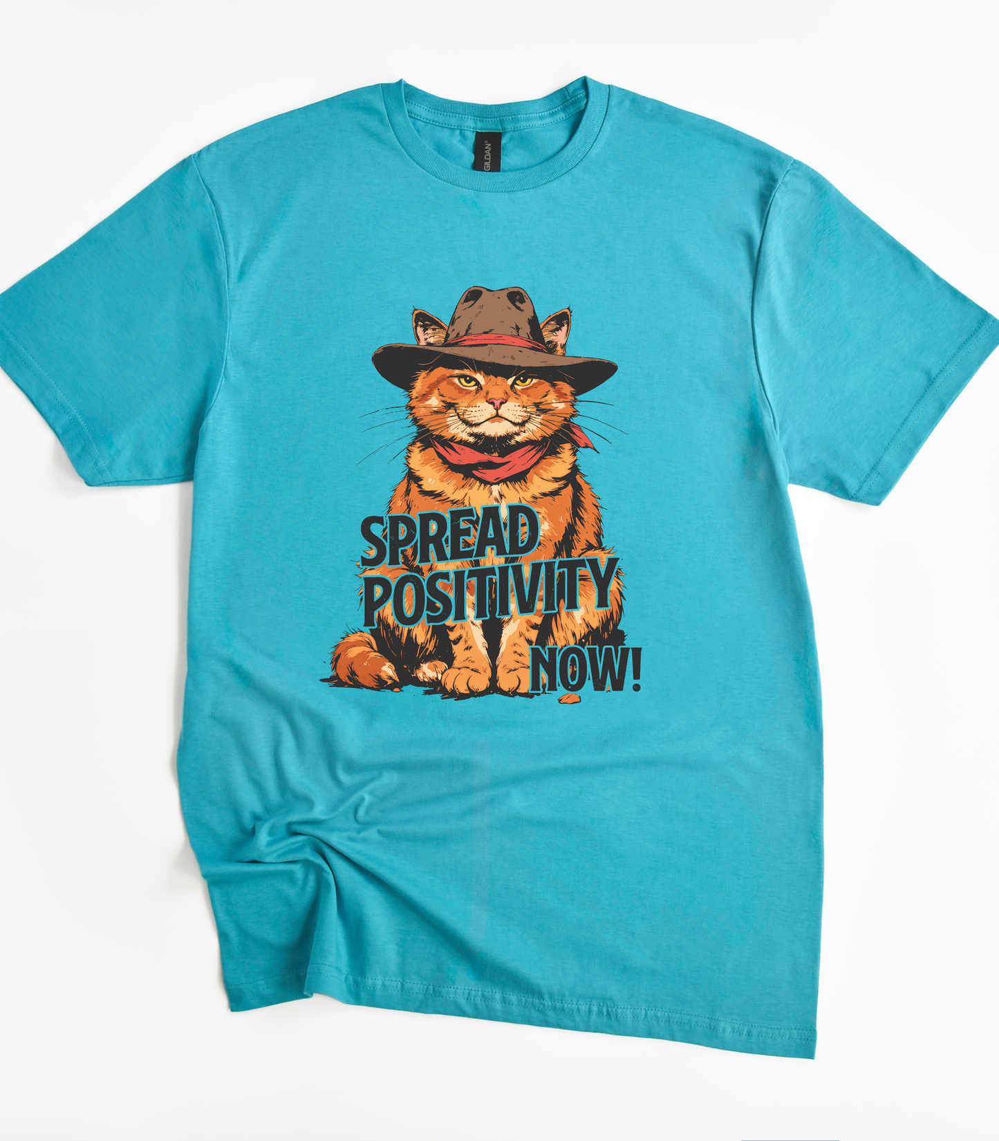 Grumpy Cat Spread Positivity T-Shirt