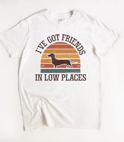 I've Got Friends In Low Places T-Shirt