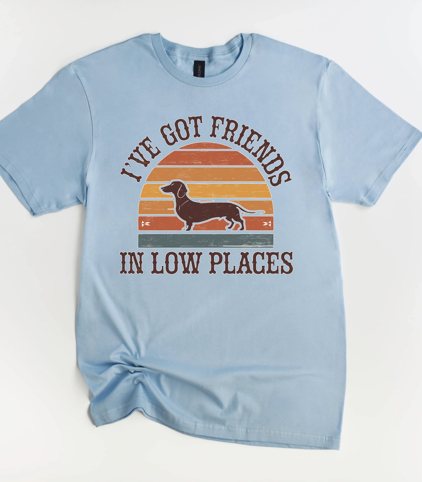 I've Got Friends In Low Places T-Shirt