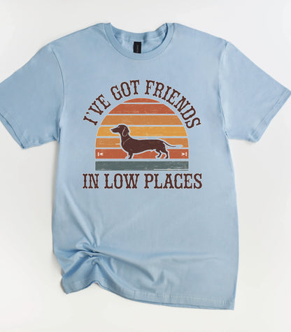 I've Got Friends In Low Places T-Shirt