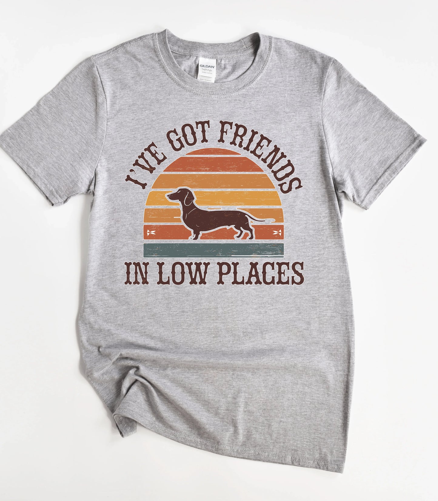 I've Got Friends In Low Places T-Shirt