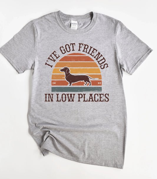 I've Got Friends In Low Places T-Shirt