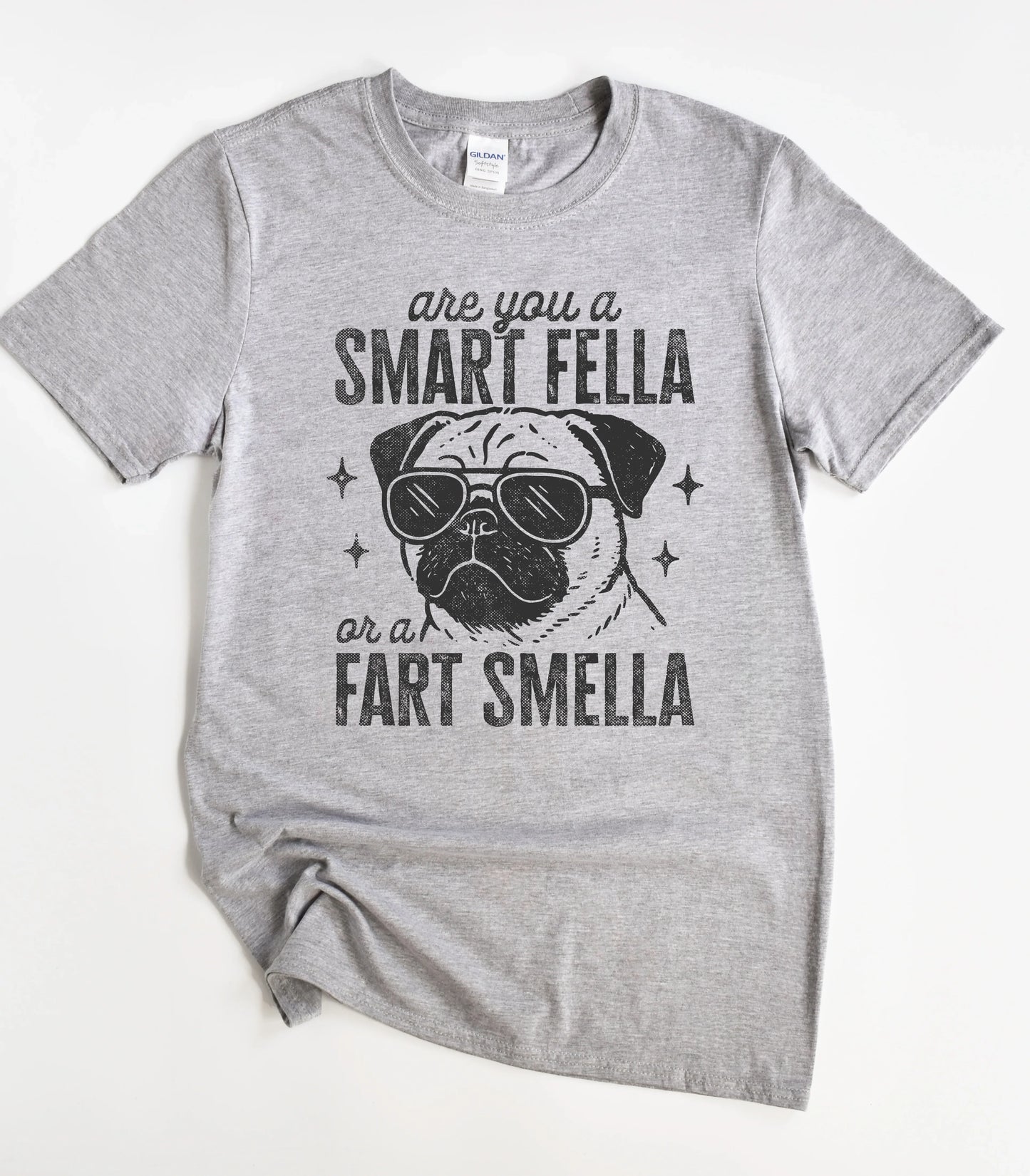 Dog Are You A Smart Fella or a Fart Smella T-Shirt