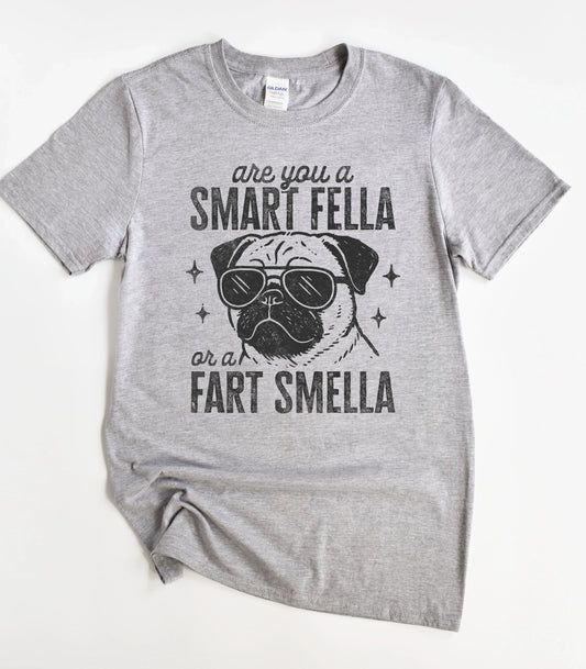 Dog Are You A Smart Fella or a Fart Smella T-Shirt
