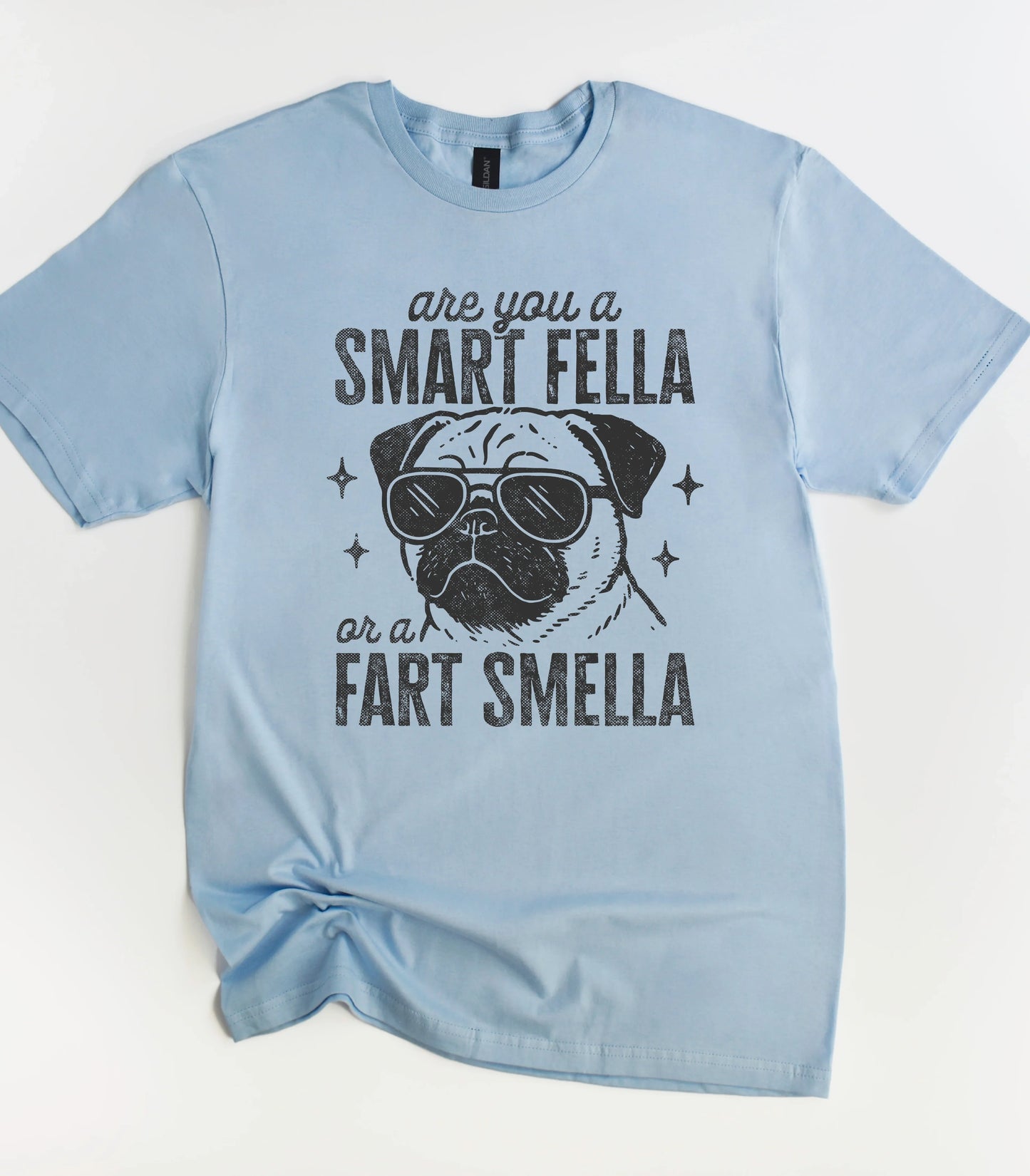 Dog Are You A Smart Fella or a Fart Smella T-Shirt