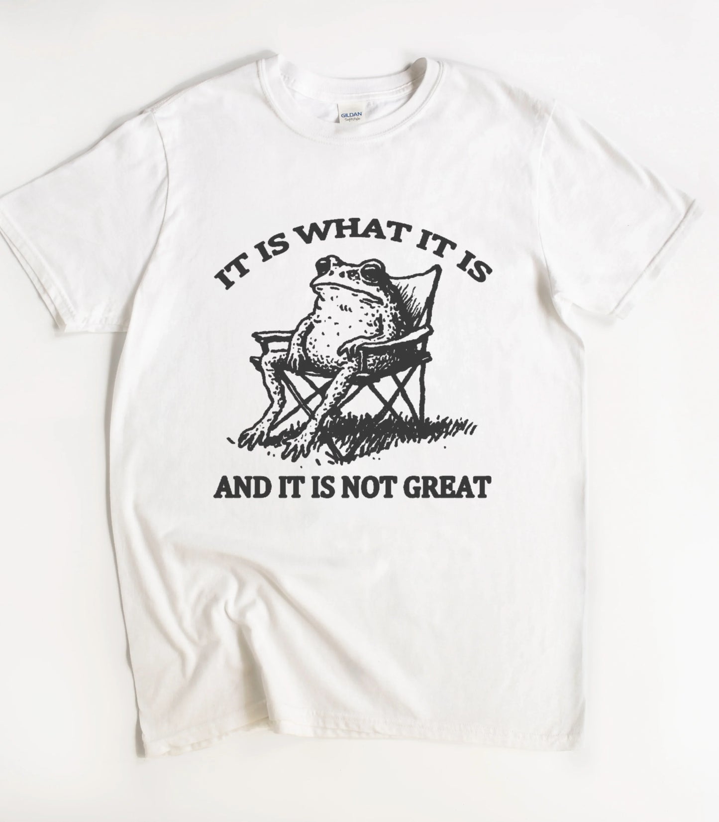 It Is What It Is And It Is Not Great Frog T-Shirt