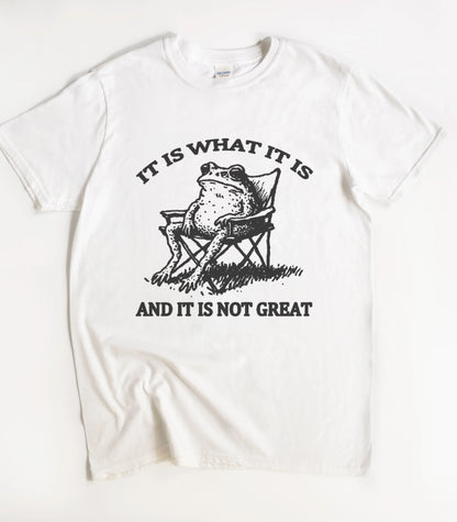 It Is What It Is And It Is Not Great Frog T-Shirt