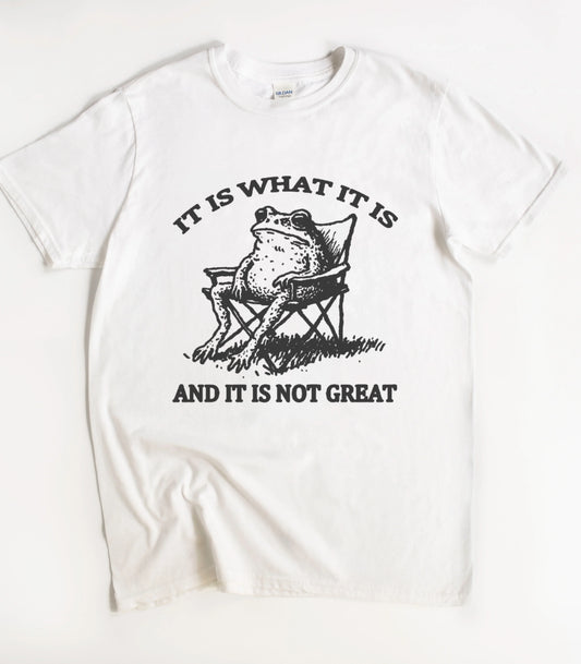 It Is What It Is And It Is Not Great Frog T-Shirt