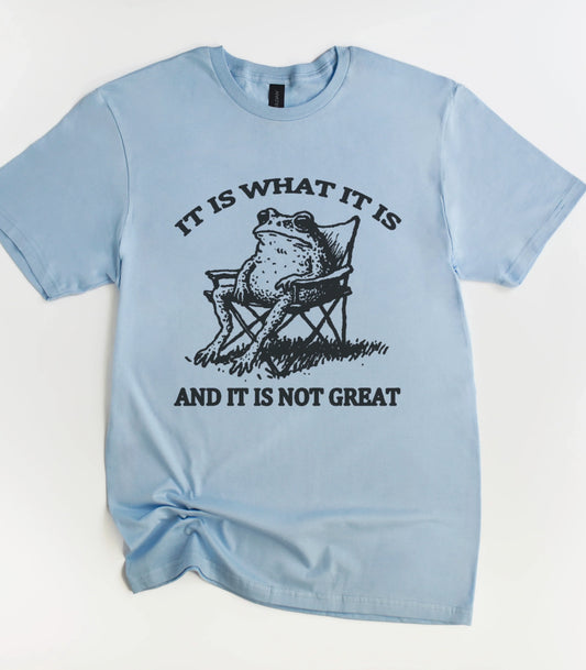 It Is What It Is And It Is Not Great Frog T-Shirt