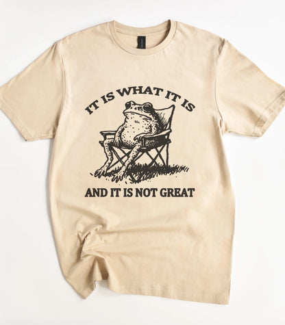 It Is What It Is And It Is Not Great Frog T-Shirt