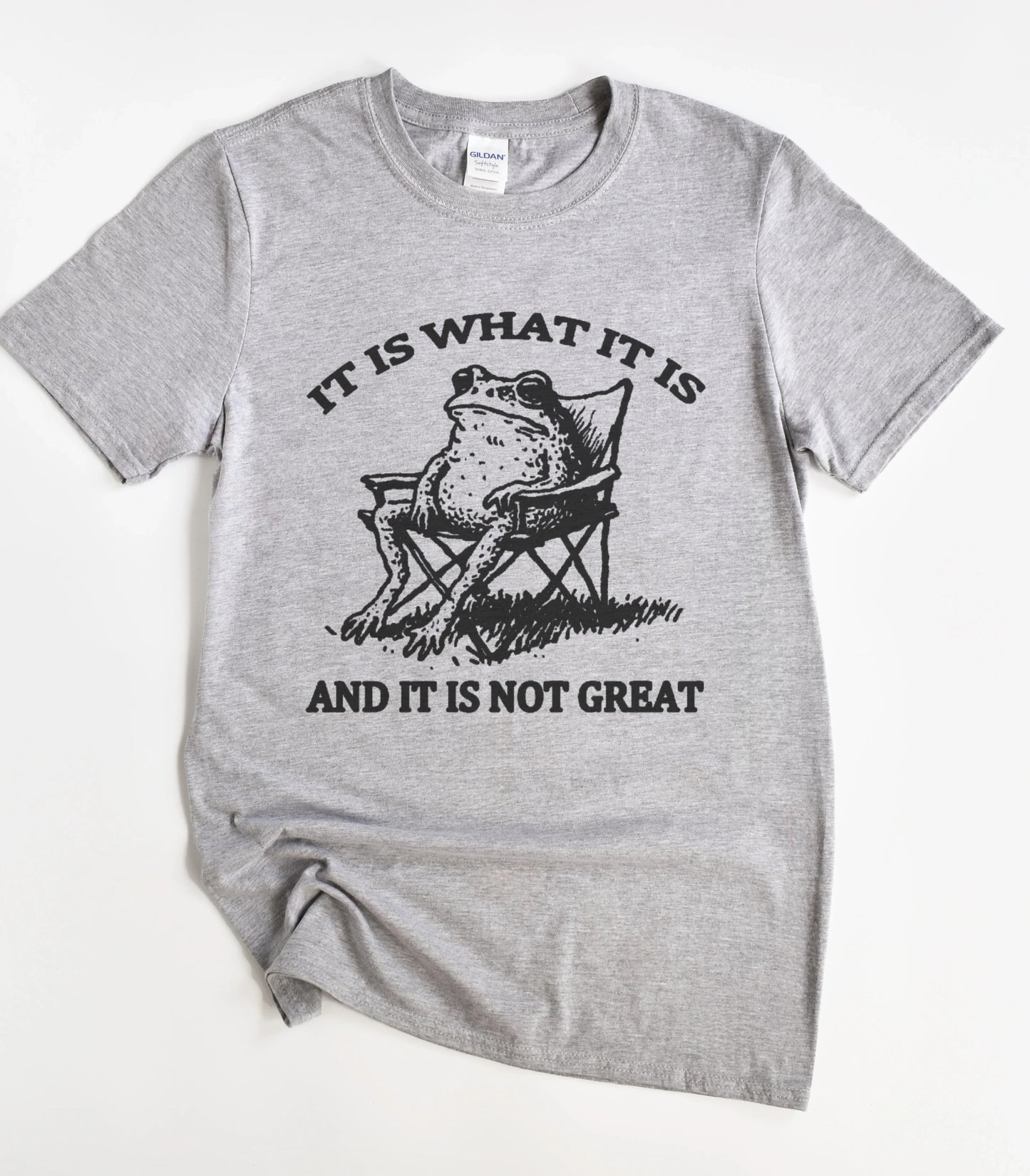It Is What It Is And It Is Not Great Frog T-Shirt