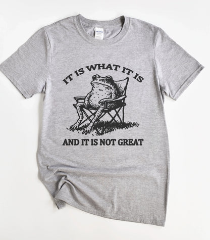 It Is What It Is And It Is Not Great Frog T-Shirt