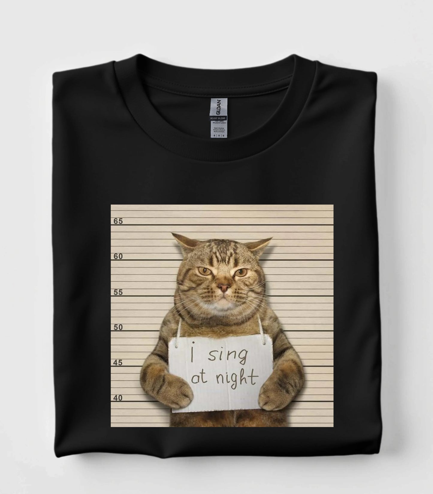 I Sing At Night Cat Funny Meme T-Shirt