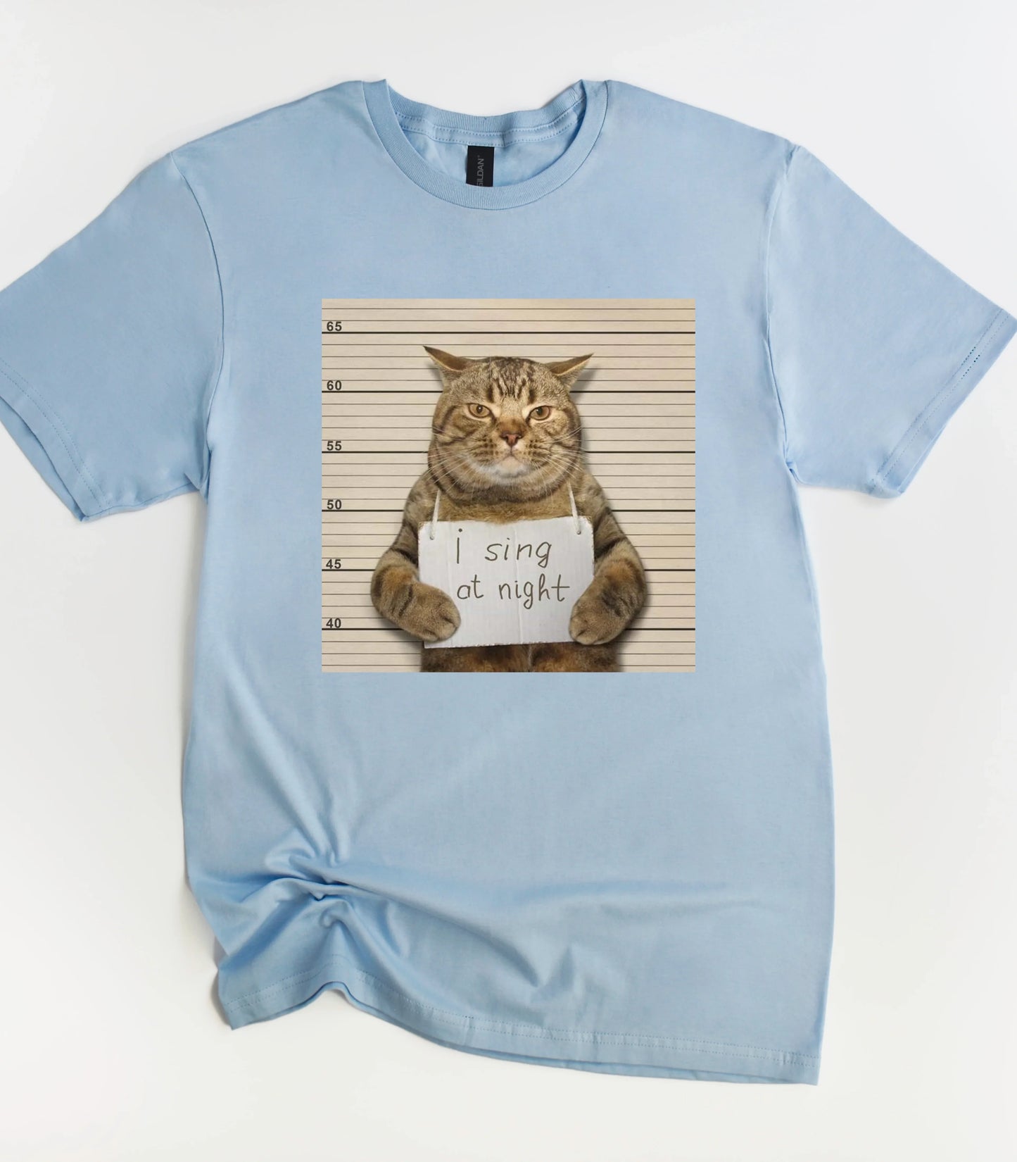 I Sing At Night Cat Funny Meme T-Shirt