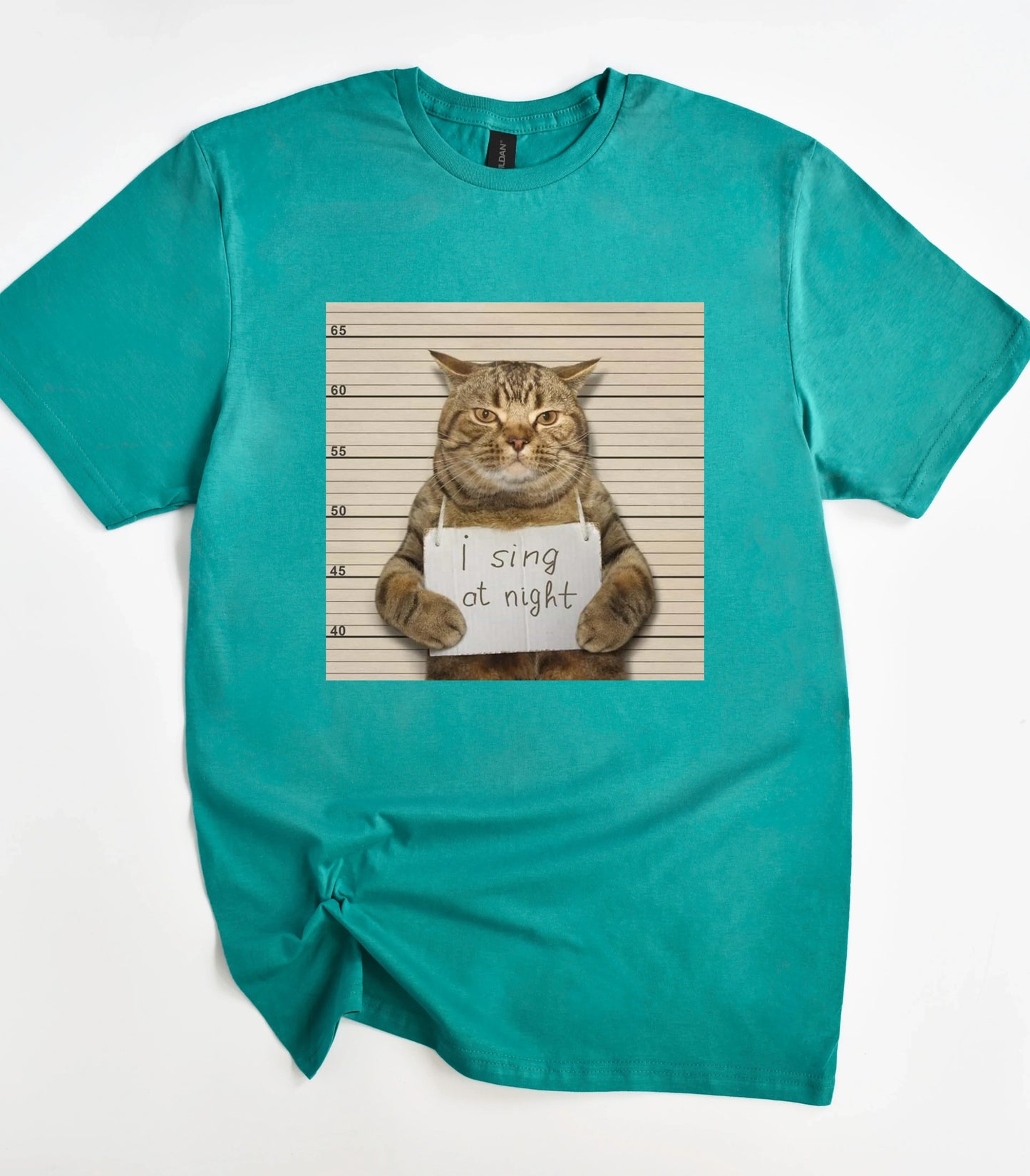 I Sing At Night Cat Funny Meme T-Shirt