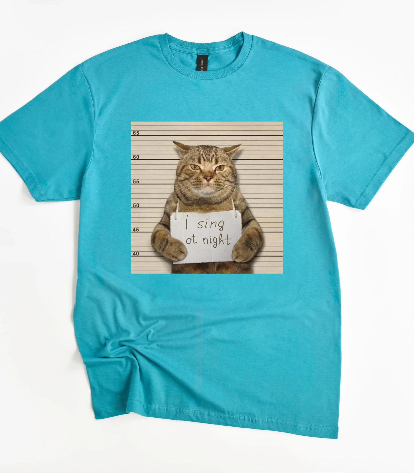I Sing At Night Cat Funny Meme T-Shirt