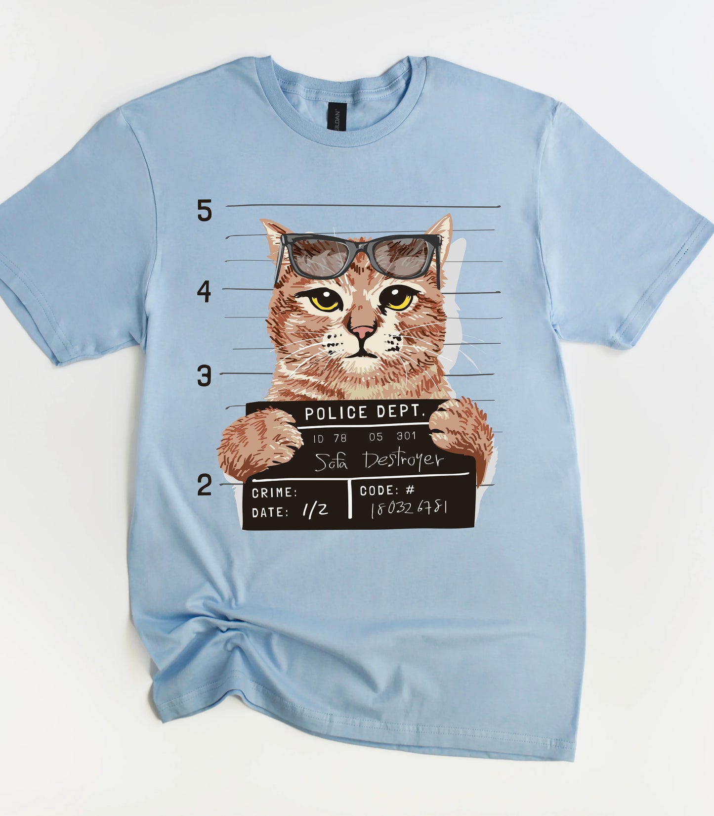 Funny Sofa Destroyer Cat T-Shirt