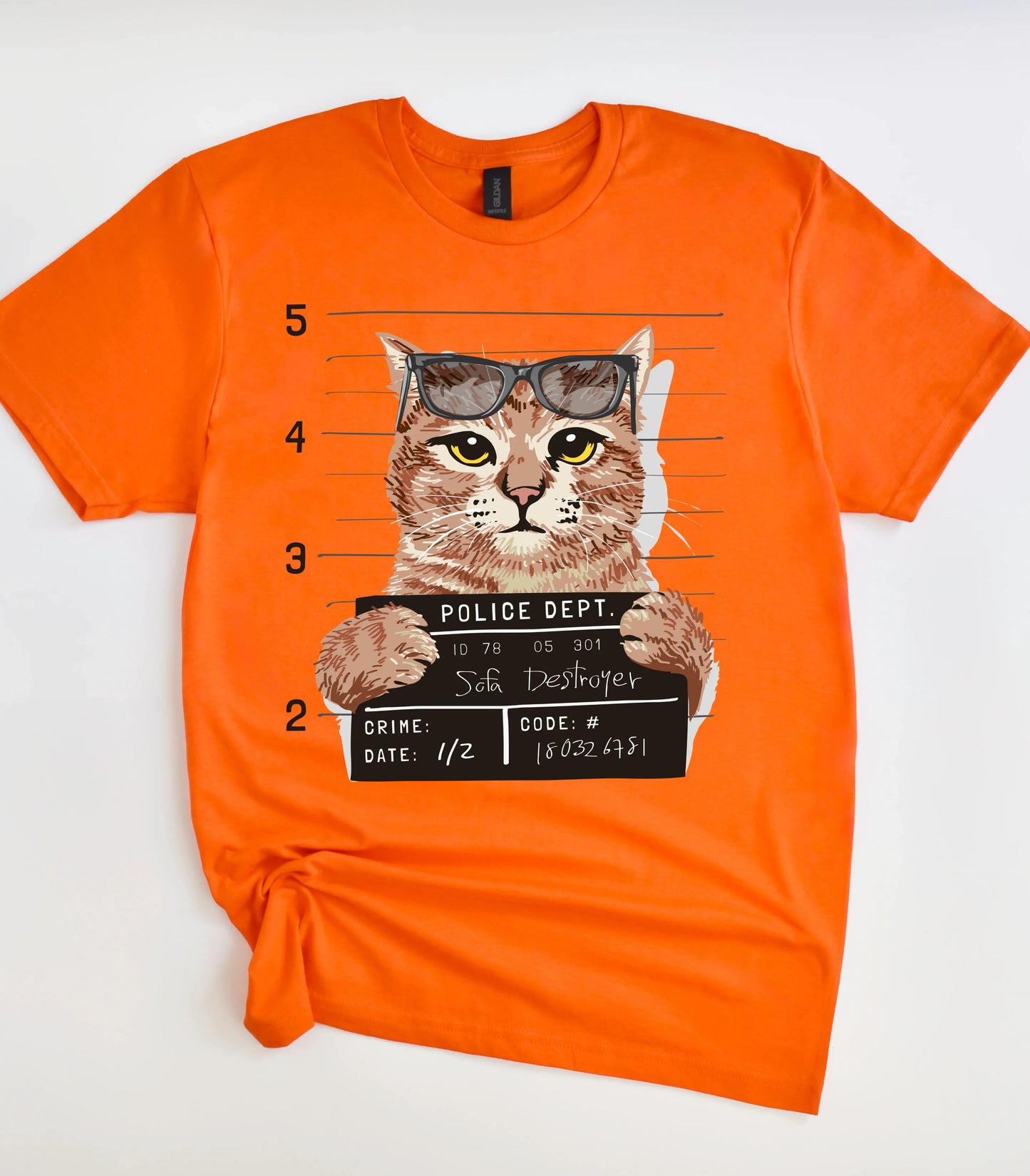 Funny Sofa Destroyer Cat T-Shirt