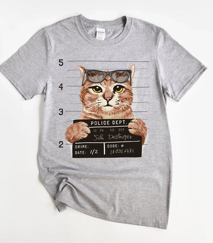 Funny Sofa Destroyer Cat T-Shirt